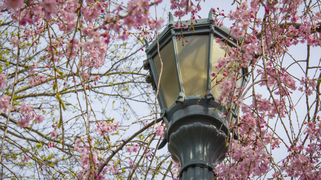 lamppost